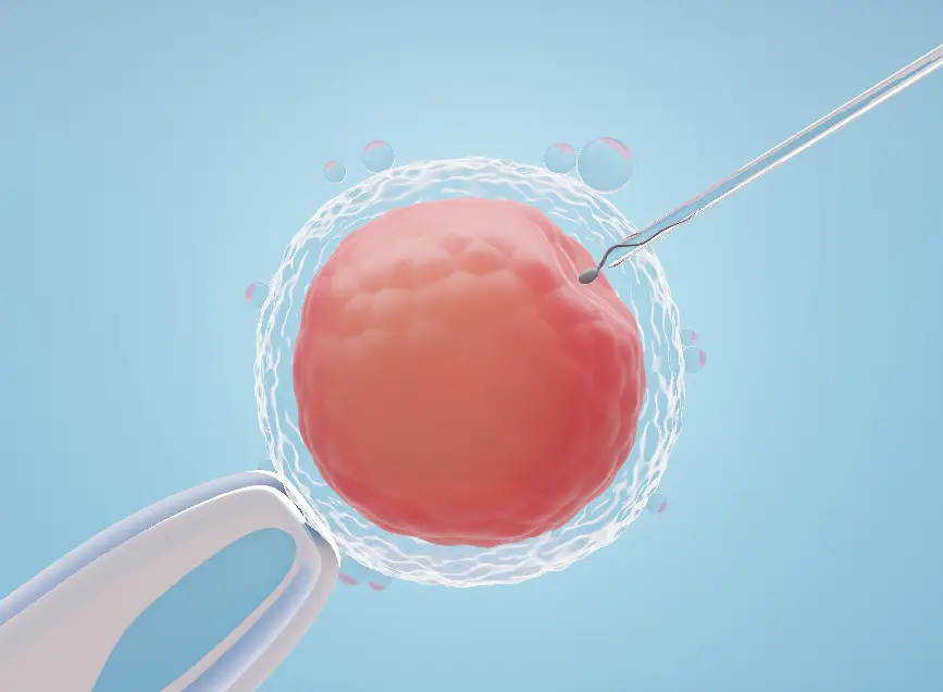 IVF with Donor Eggs