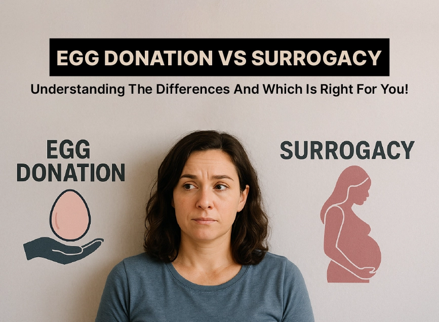 Egg Donation and Surrogacy