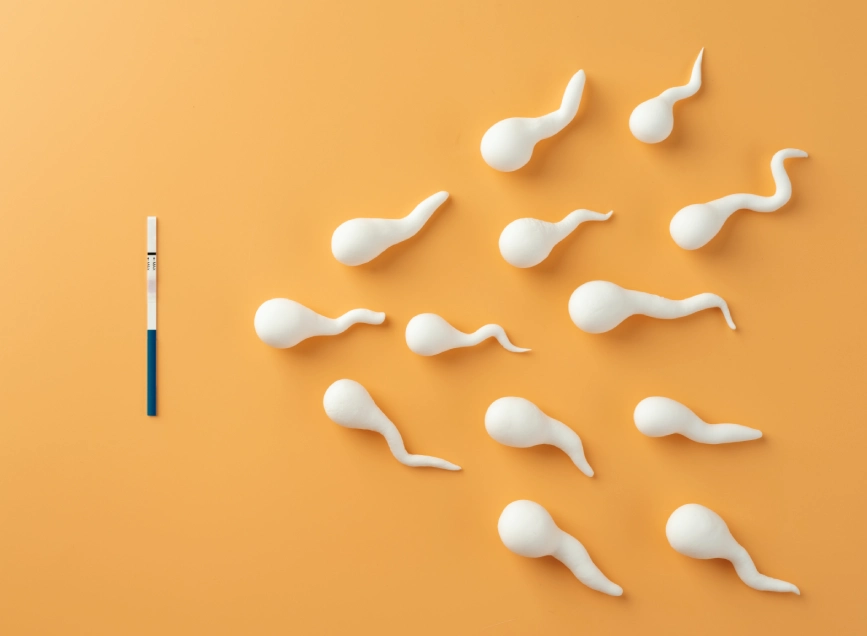 Sperm quality factors